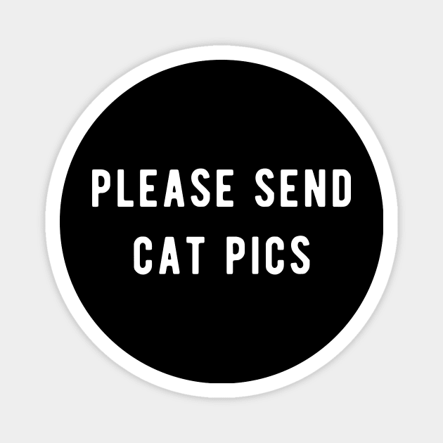please send cat pics Magnet by Ramy Art